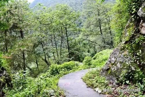 沪江开心词场