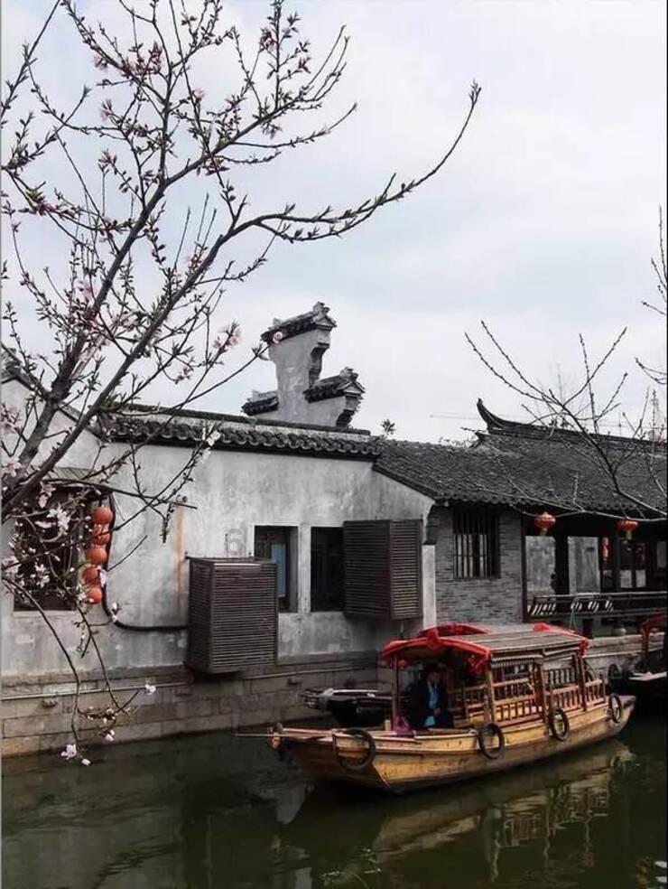 全战：不列颠王座